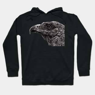 Tawny eagle Hoodie